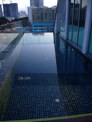 Opal Suites (D12), Apartment #134618582